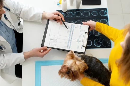 Fisioterapia Veterinária + sp + Nato Medicina Veterinária